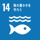 SDGs目標14. 海の豊かさを守ろう