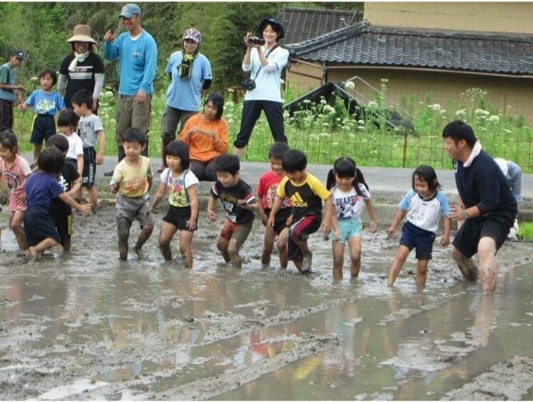 自然栽培の田んぼでの田植え体験